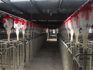 云南安裝現(xiàn)場(chǎng)