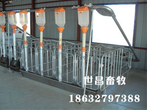 母豬產床自動化上料線