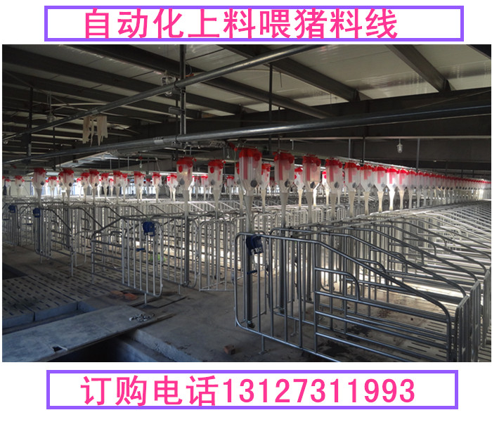 自動喂料系統(tǒng)