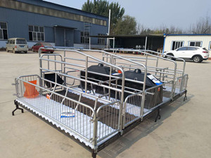 大型豬場母豬產(chǎn)床批發(fā)廠家