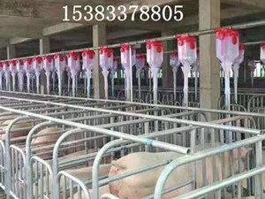 肥豬舍自動(dòng)下料線(xiàn)