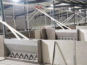 新型豬場自動(dòng)化喂料設(shè)備